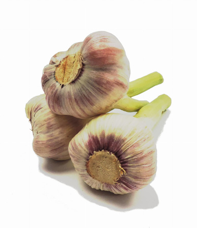 Czosnek nowy  Polska  kl. I  1szt