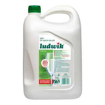 Ludwik 5l Mięta