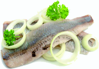 Filet  śledziowy Matjas solony  Premium kg