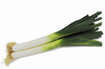 Por  Belgia kl. I  szt