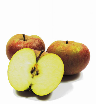 Jabłka Reneta Polska kl. I 1kg