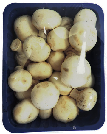 Pieczarka tacka  Polska  kl. I  500g