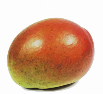 Mango Brazylia kl. I szt