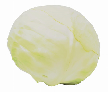 Kapusta Biała Polska kl. I  KG