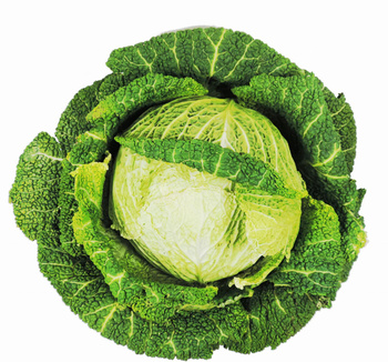 Kapusta Włoska  Włochy kl. I 1szt