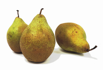 Gruszka Polska  kl. I  1kg