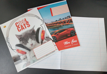 Zeszyt A5/12k dla osób leworęcznych linia skośna szt