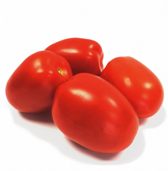 Pomidor Lima Hiszpania  kl. I kg