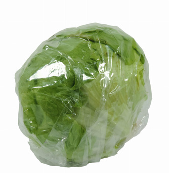 Sałata lodowa Polska kl. I szt