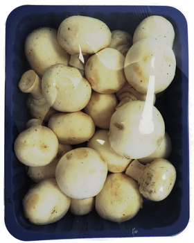 Pieczarka tacka  Polska  kl. I  500g