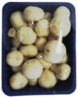 Pieczarka tacka  Polska  kl. I  500g