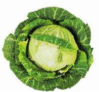 Kapusta Włoska  Włochy kl. I 1szt