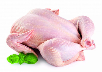 KURCZAK ŚWIEŻY /KG/