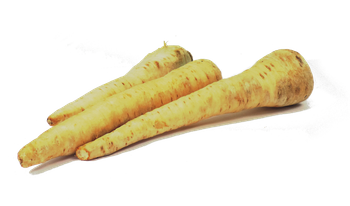 Pietruszka Polska kl. I  kg