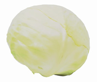 Kapusta Biała Polska kl. I  KG