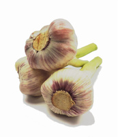 Czosnek nowy  Polska  kl. I  1szt