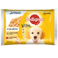 Pedigree Sasz. Junior Kur. Woł. Ryż /4*100g/