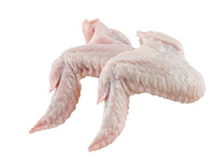 Skrzydełko z kurczaka świeże kg