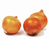 Cebula Polska kl. I  kg