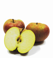 Jabłka Reneta Polska kl. I 1kg